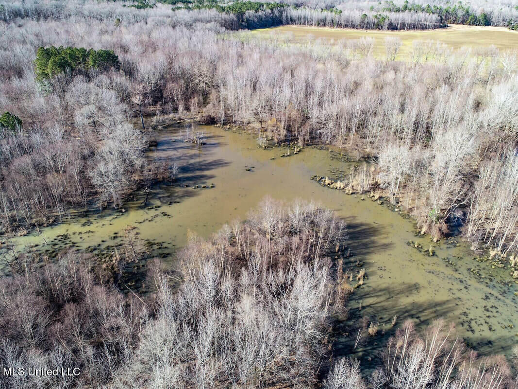 3114 212a Country Road, Water Valley, Mississippi image 28
