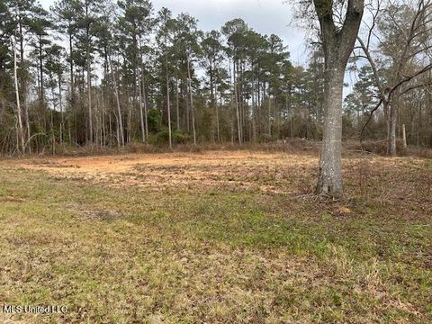 Vacant Land For Sale - 1028 Chester Reeves Road<br/> Pike County, McComb, MS 39648