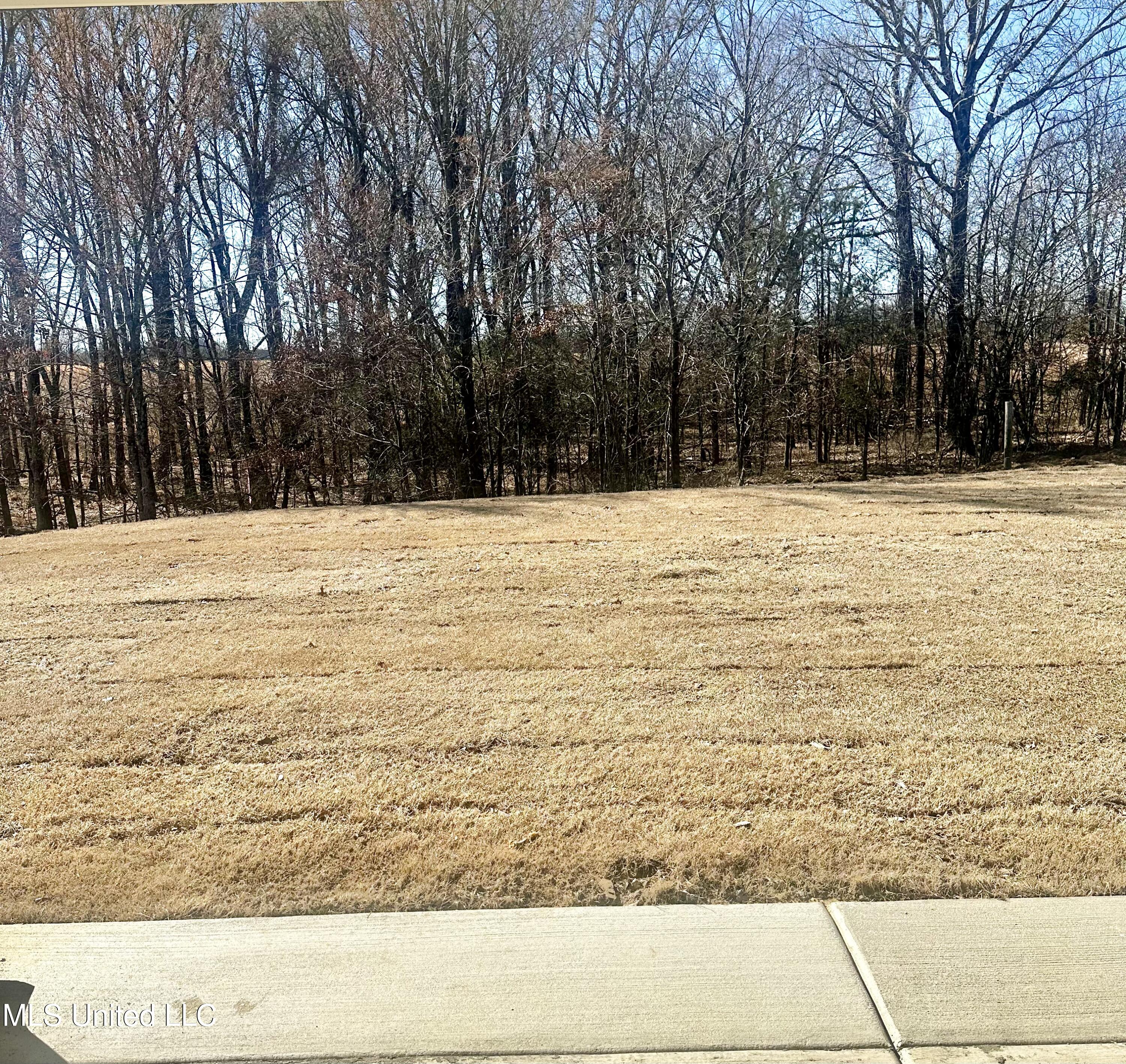 3493 Jaguar Boulevard, Southaven, Mississippi image 13