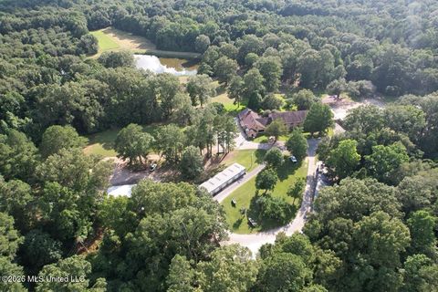 Vacant Land For Sale - Woodlawn Road<br/> Wilkinson County, Woodville, MS 39669