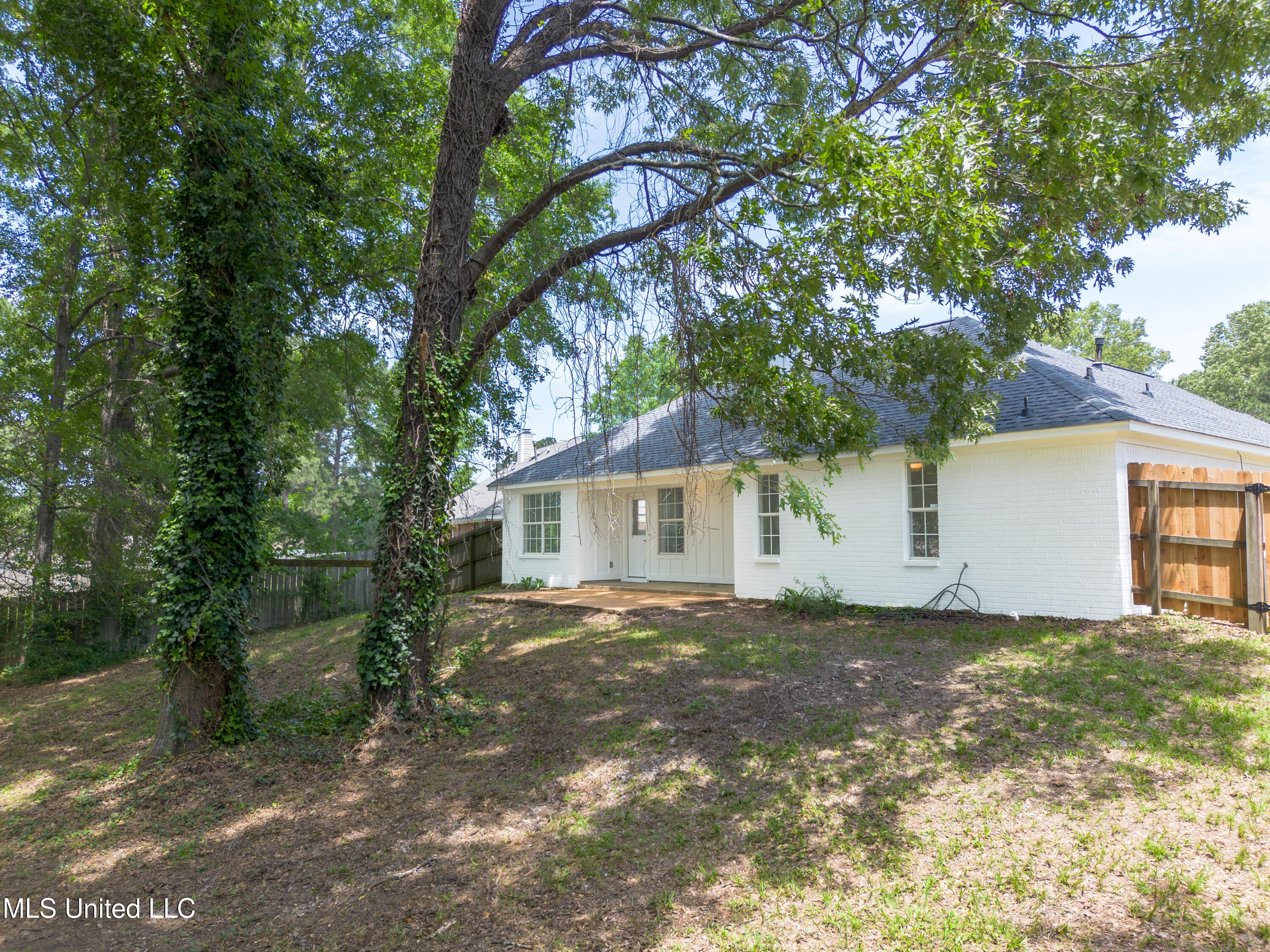 406 Twisted Oak Cove, Richland, Mississippi image 3