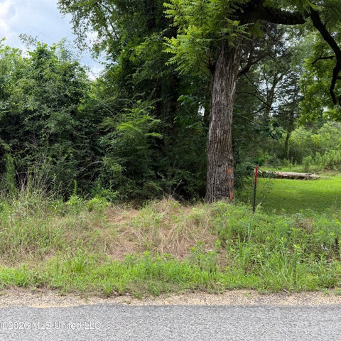 Vacant Land For Sale - Midway Odom Road<br/> Forest, MS 39074