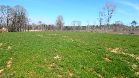 Vacant Land For Sale - 688 Graysport Crossing Road<br/> Gore Springs, MS 38929