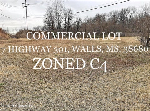 Vacant Land For Sale - 7 Highway 301<br/> Desoto County, Walls, MS 38680