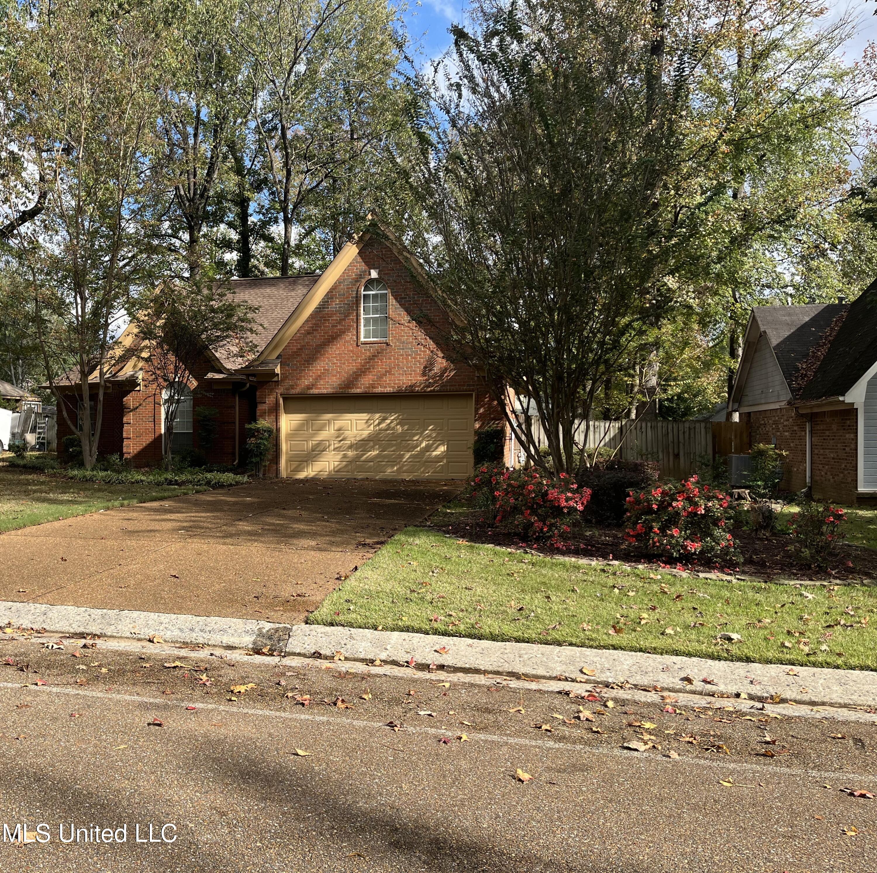 5830 Southridge Drive, Olive Branch, Mississippi image 3