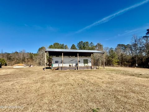 Homes For Sale - 276 Martin Lane<br/> Smith County, Raleigh, MS 39153