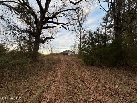 Vacant Land For Sale - Roger Reid Road<br/> Newton County, Conehatta, MS 39057
