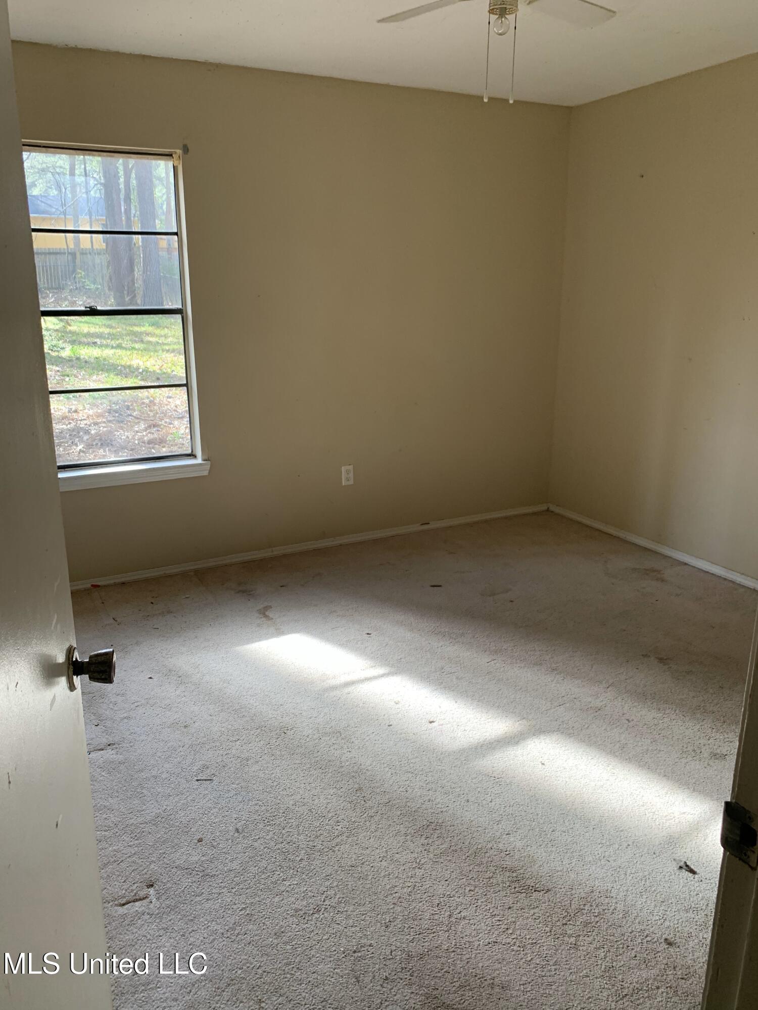 226 N Shenandoah Road, Brandon, Mississippi image 11