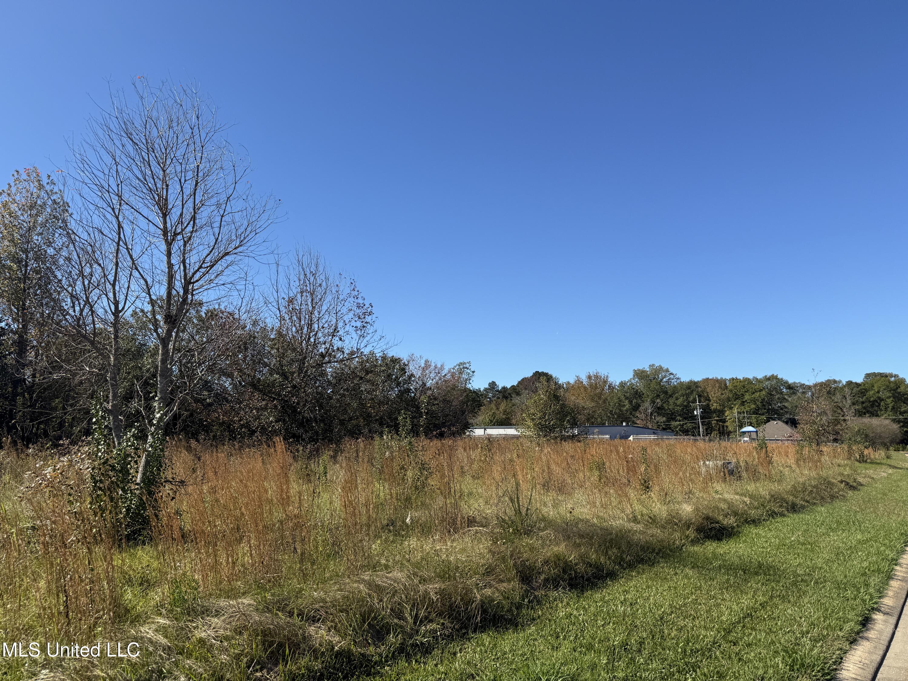 Crossbridge Boulevard, Byram, Mississippi image 1