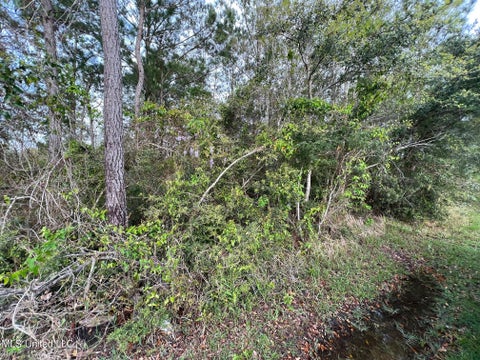 Vacant Land For Sale - 823 Faith Street<br/> Waveland, MS 39576