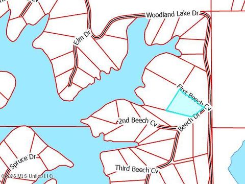 Vacant Land For Sale - First Beech Cove<br/> Hernando, MS 38632