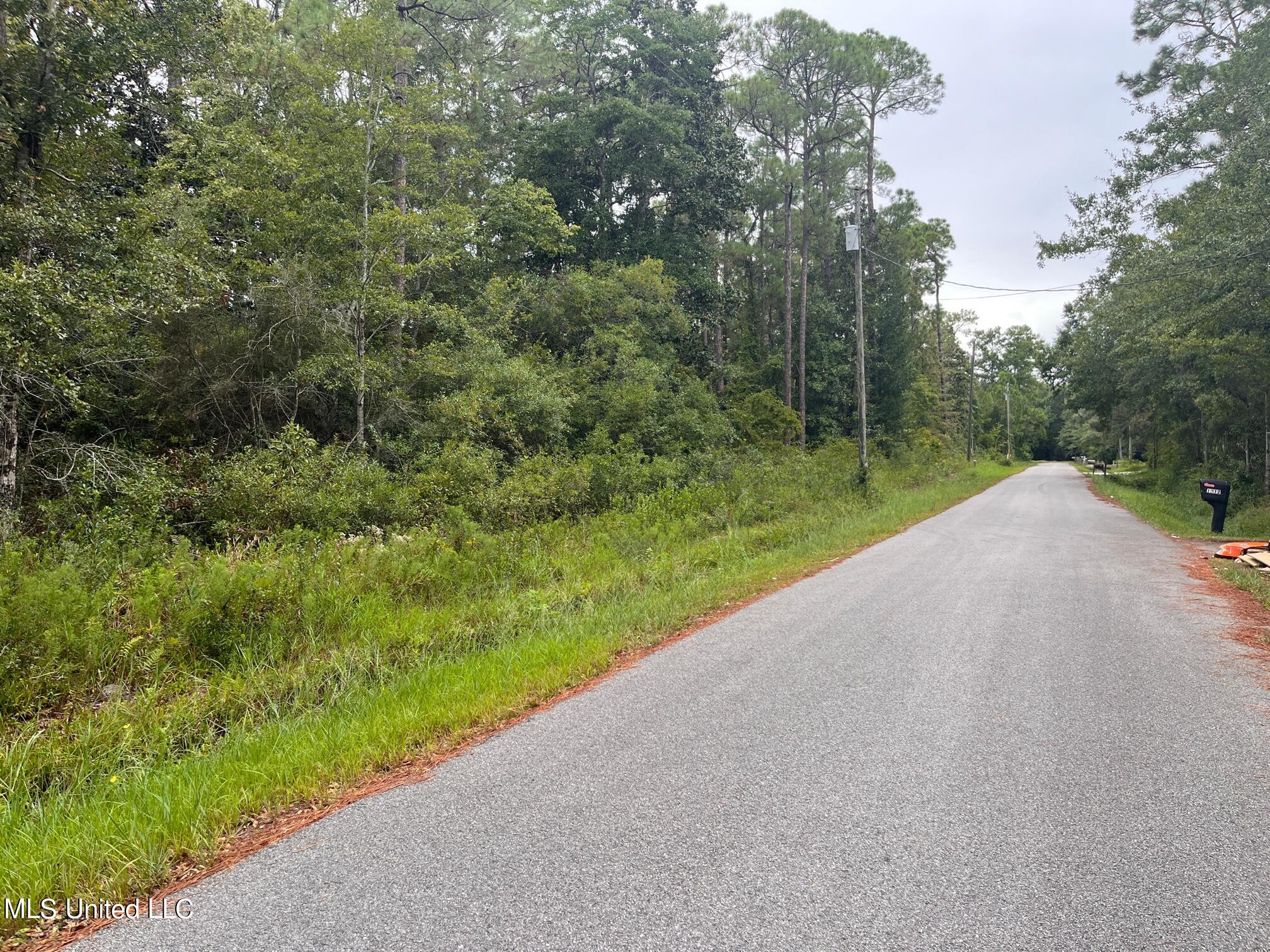 Lot 176 Pine Street, Ocean Springs, Mississippi image 1