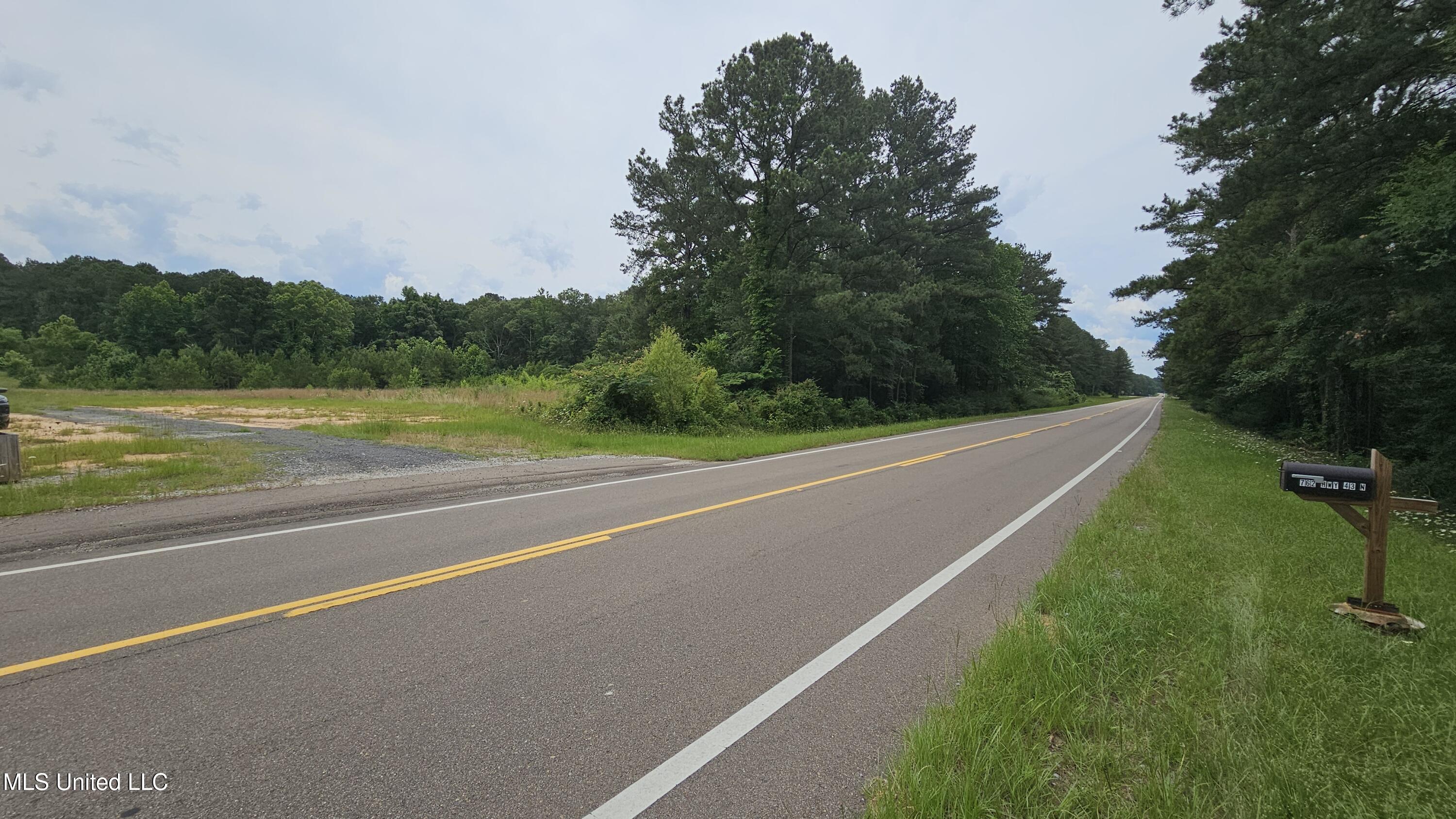 N Hwy, Pelahatchie, Mississippi image 1
