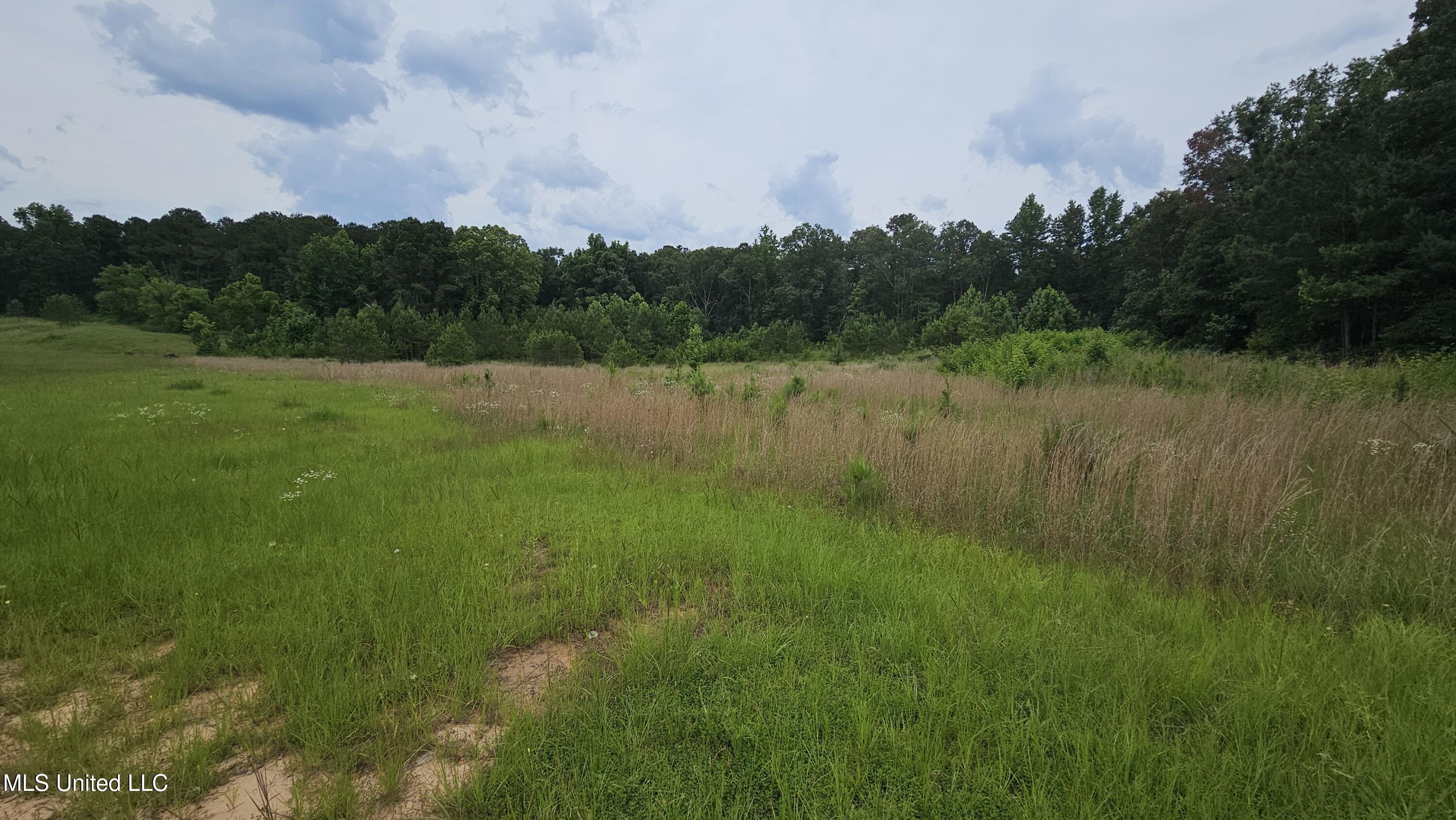 N Hwy, Pelahatchie, Mississippi image 3