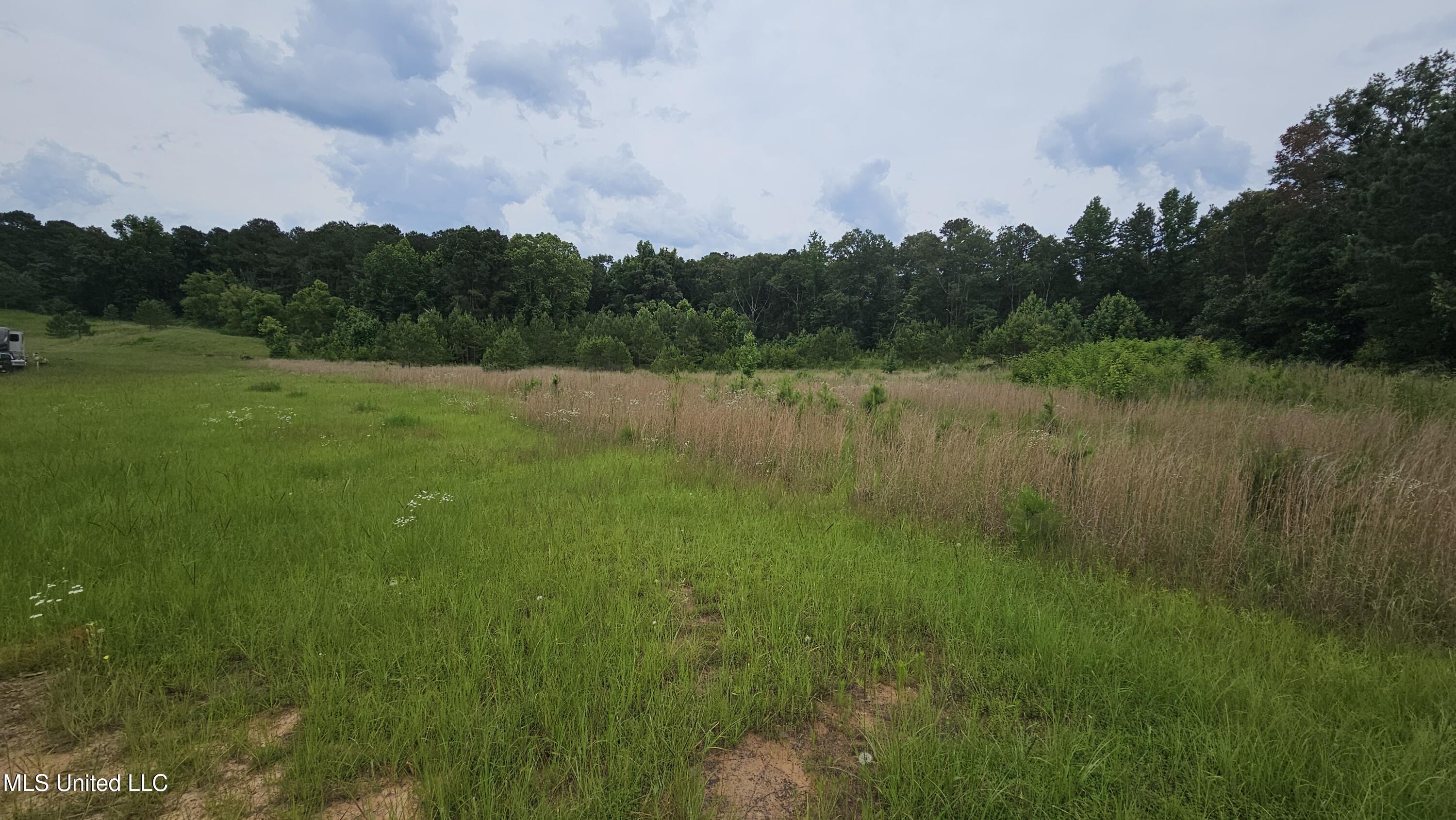 N Hwy, Pelahatchie, Mississippi image 2