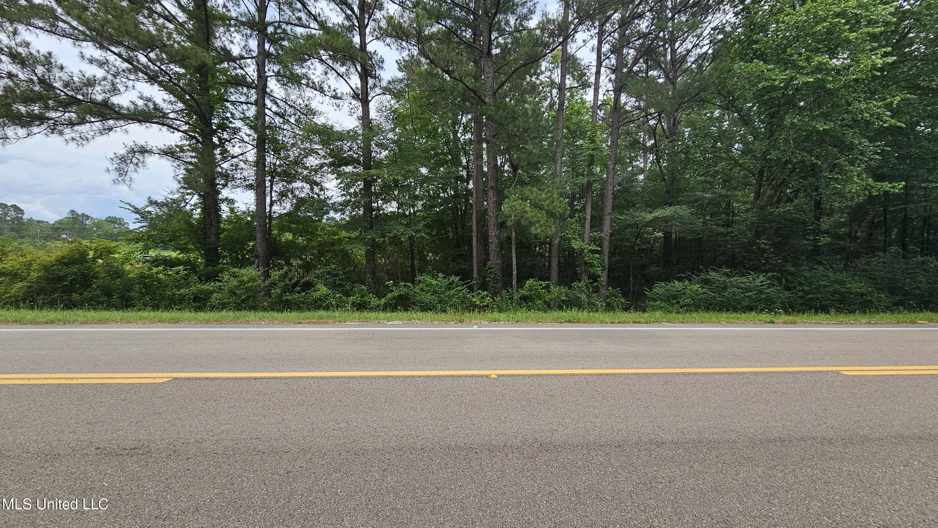 N Hwy, Pelahatchie, Mississippi image 4