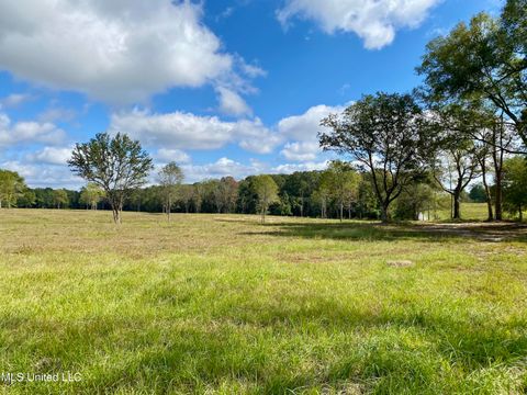 Vacant Land For Sale - Carey Byrd Road<br/> Carriere, MS 39426