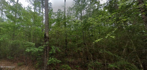 Vacant Land For Sale - Seventh Street<br/> Bay Saint Louis, MS 39520