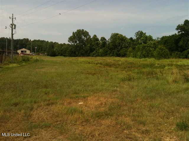 River Terminal Road, Natchez, Mississippi image 2