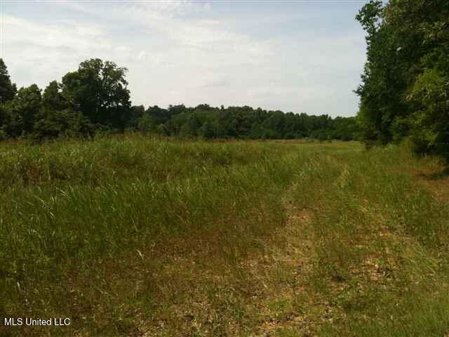 River Terminal Road, Natchez, Mississippi image 3