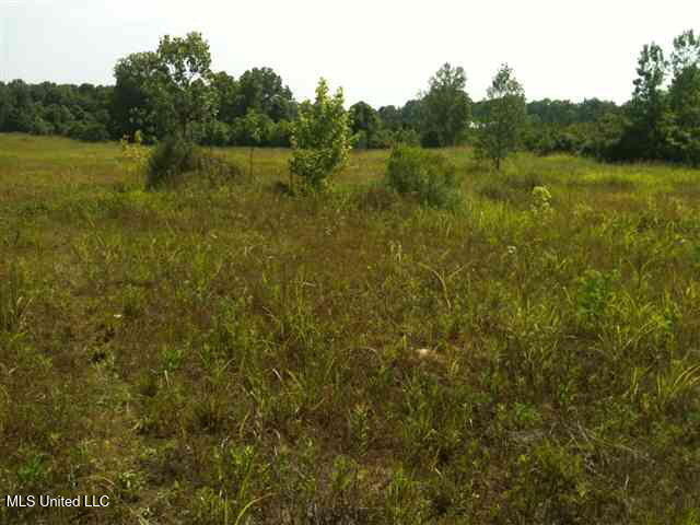 River Terminal Road, Natchez, Mississippi image 4