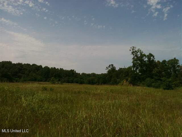 River Terminal Road, Natchez, Mississippi image 1