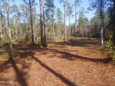 Vacant Land For Sale - NHN E Crazy Horse Drive<br/> Kiln, MS 39556
