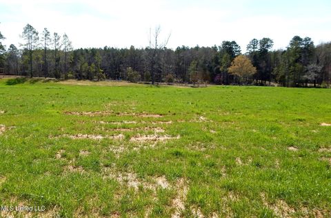 Vacant Land For Sale - 4 Graysport Crossing Road<br/> Gore Springs, MS 38929