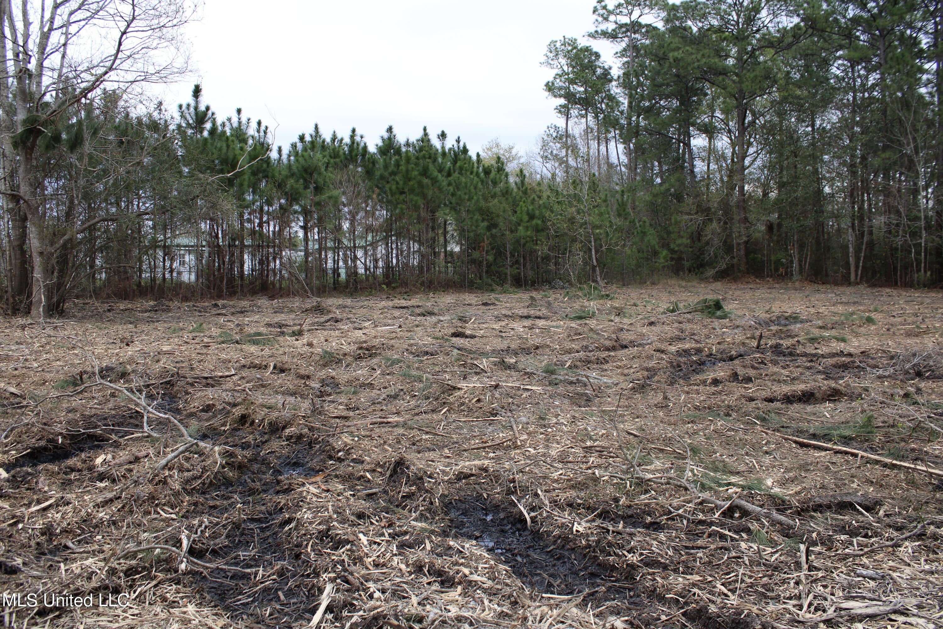 Brodnax Road, Ocean Springs, Mississippi image 1