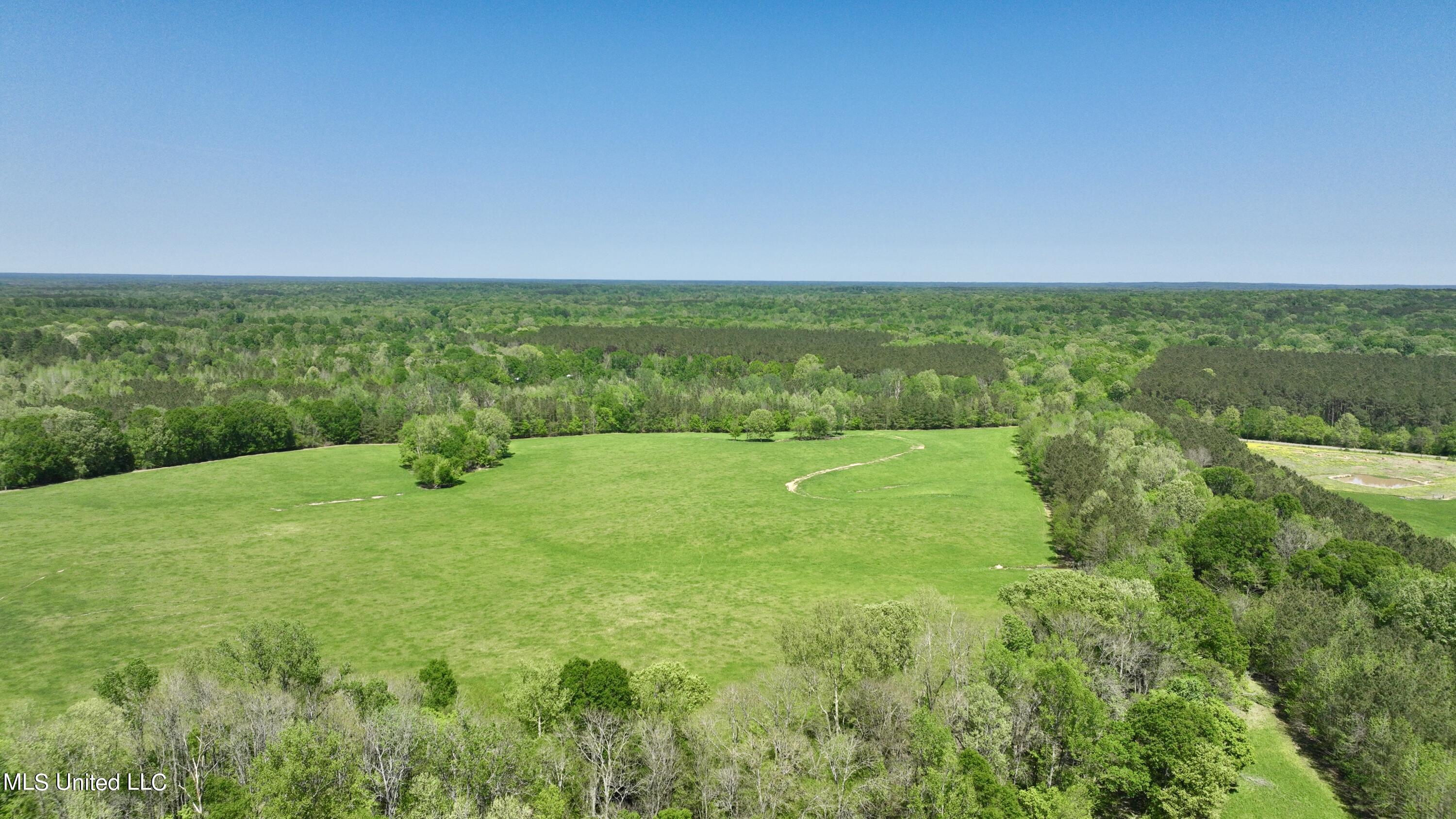 0006 Johnson Line Road, Bolton, Mississippi image 6