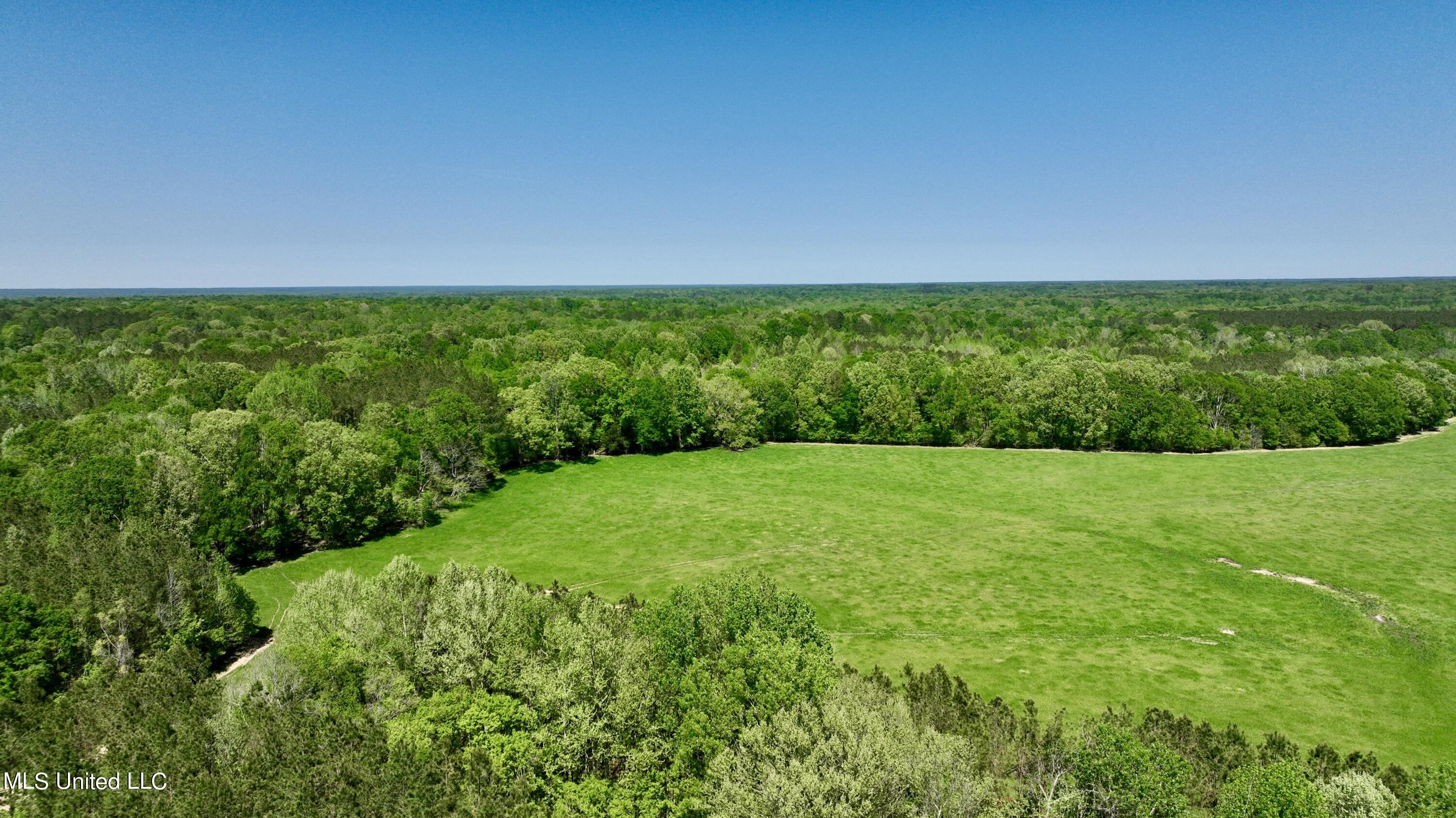 0006 Johnson Line Road, Bolton, Mississippi image 7