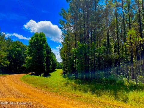 Vacant Land For Sale - Arthur Drive<br/> Brookhaven, MS 39601