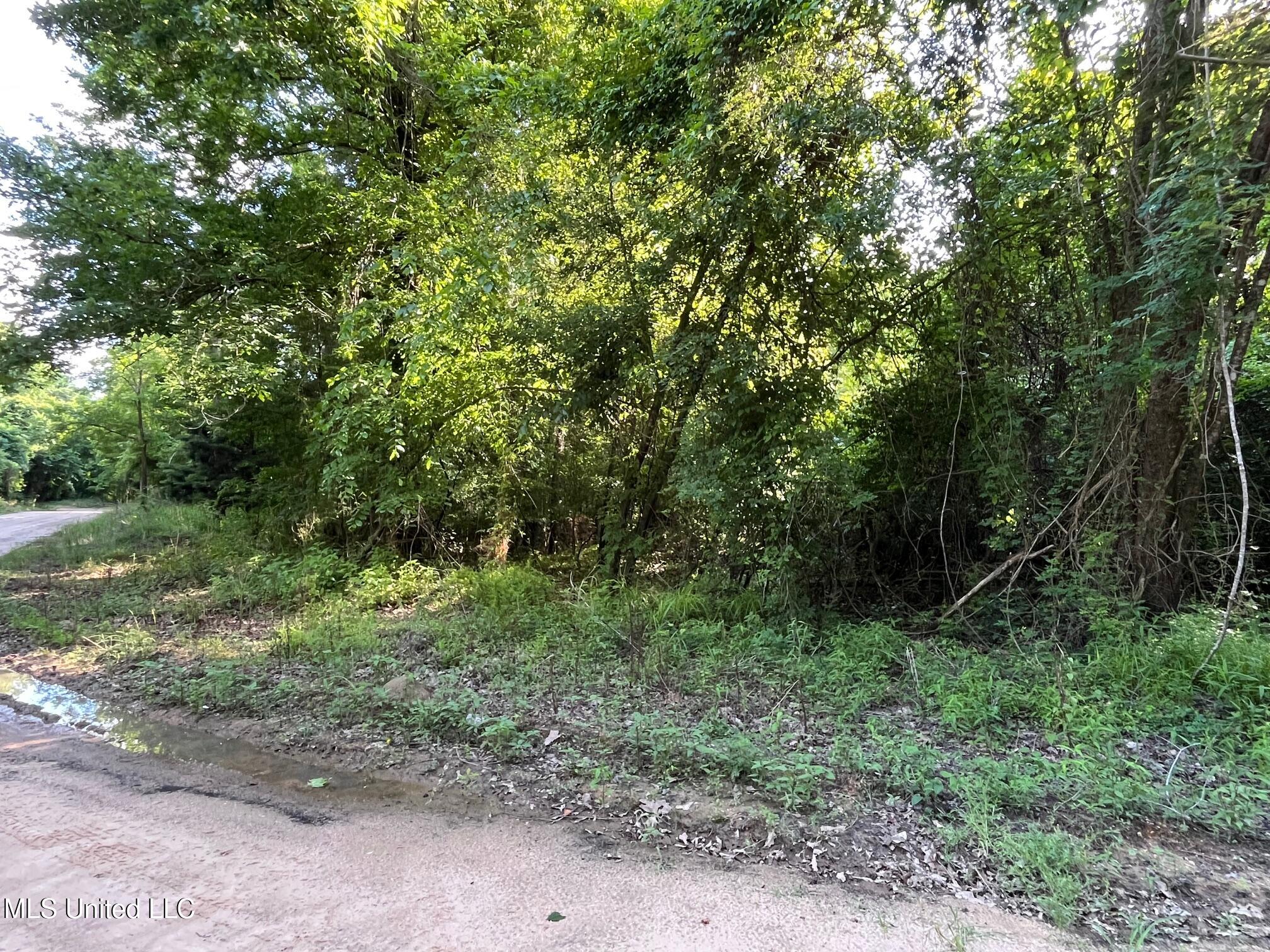 2 +/- Ac Vicie Lane, Leakesville, Mississippi image 3