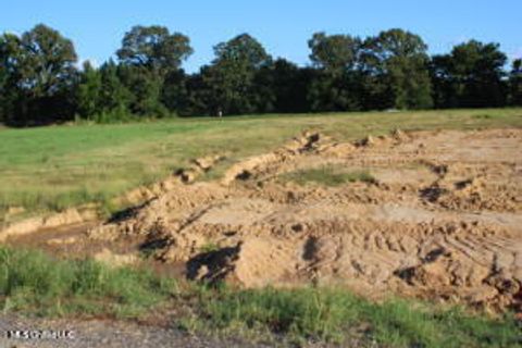 Vacant Land For Sale - 9 Chapel Hill Subdivision<br/> Marshall County, Holly Springs, MS 38635