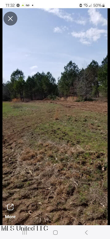 2904 Pisgah Road, Weir, Mississippi image 1
