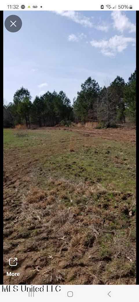 Vacant Land For Sale - 2904 Pisgah Road<br/> Choctaw County, Weir, MS 39772
