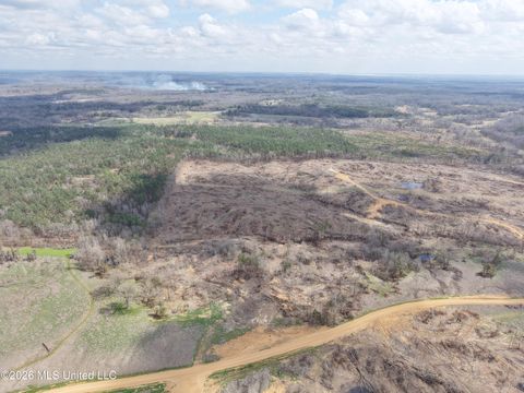 Vacant Land For Sale - 001 Lane Rd<br/> Tallahatchie County, Cascilla, MS 38920