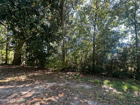 Vacant Land For Sale - Baywood Drive<br/> Moss Point, MS 39563