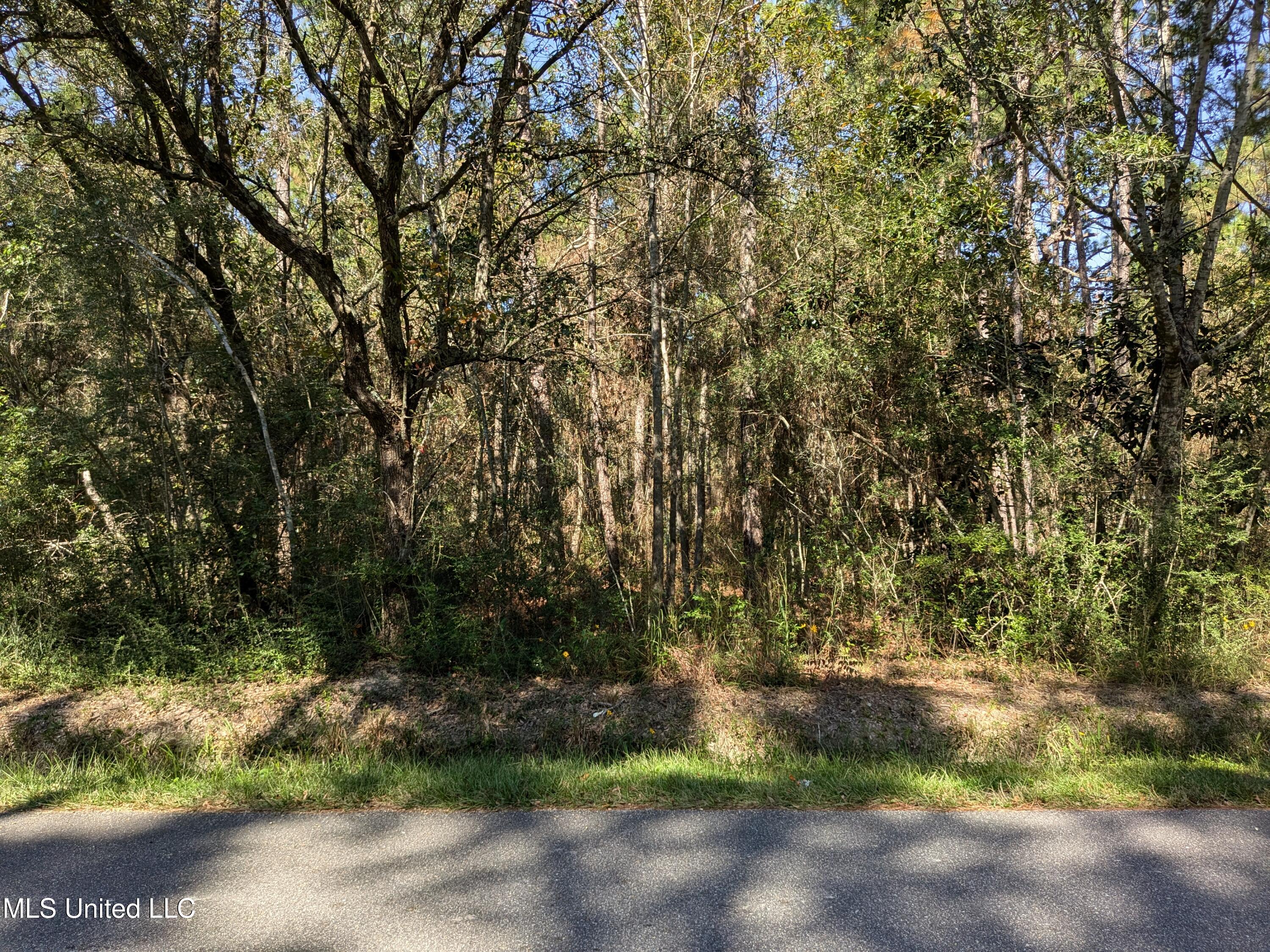 000 W Greene Street, Bay Saint Louis, Mississippi image 1