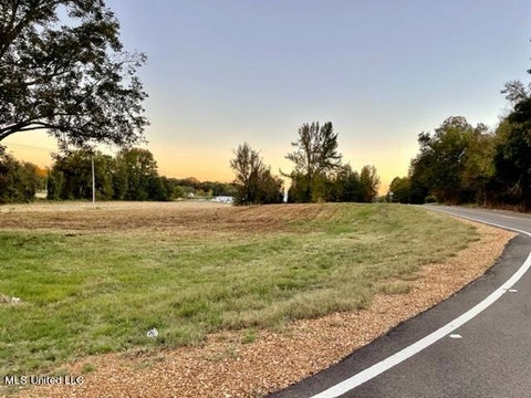 Vacant Land For Sale - Highway 305<br/> Coldwater, MS 38618