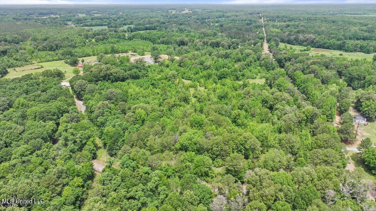 869 B Parks Road, Pickens, Mississippi image 39