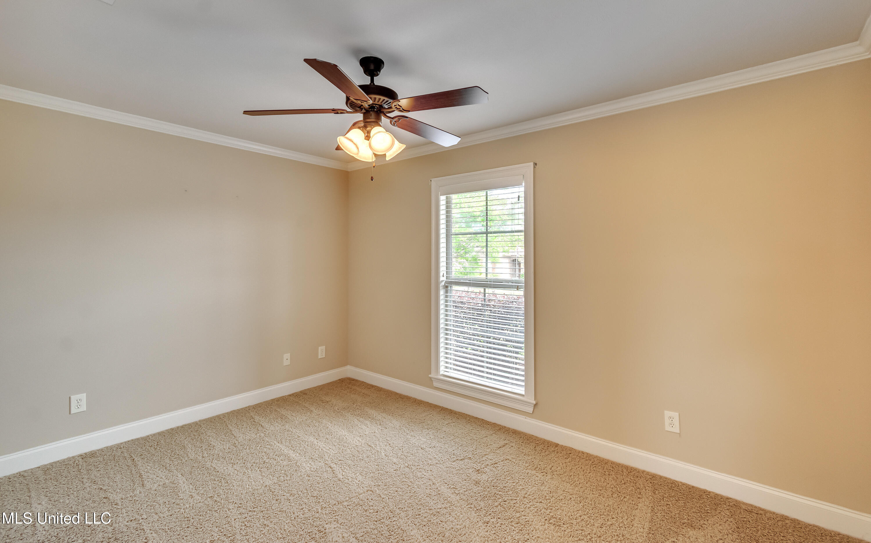 518 Springhill Crossing, Brandon, Mississippi image 22