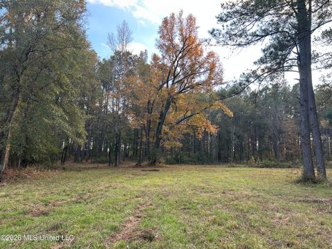 Vacant Land For Sale - 4024 Old Mill Road<br/> Pike County, Osyka, MS 39657