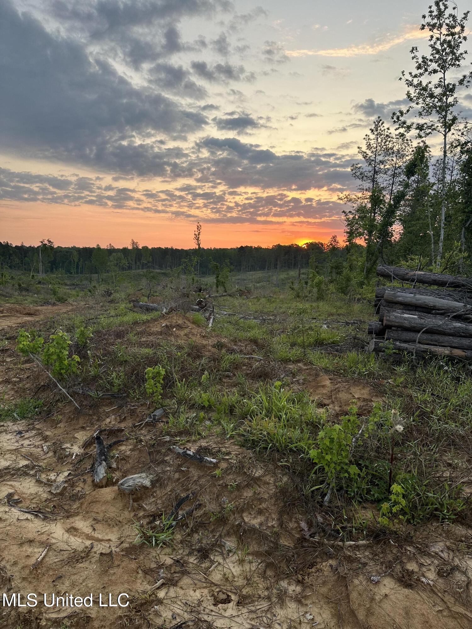 Pleasant Ridge Road, Lexington, Mississippi image 4