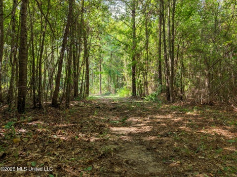 Vacant Land For Sale - Harvey Road<br/> Leake County, Carthage, MS 39051