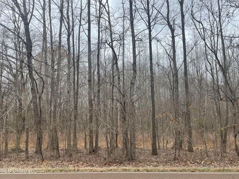 Vacant Land For Sale - Looxahoma Tyro Road<br/> Senatobia, MS 38668