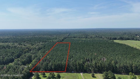 Vacant Land For Sale - Davis Road<br/> Morton, MS 39117