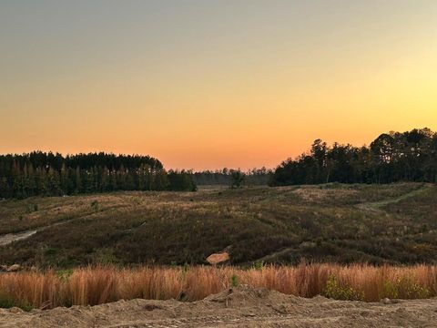 Vacant Land For Sale - PARCEL 1 Hwy 24<br/> Amite County, Liberty, MS 39654