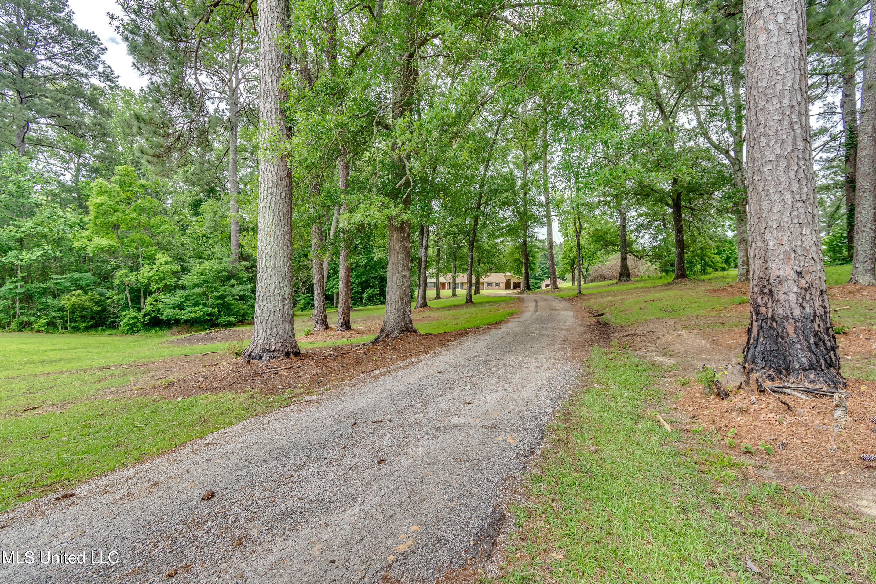 1597 Old Lake Road, Brandon, Mississippi image 2