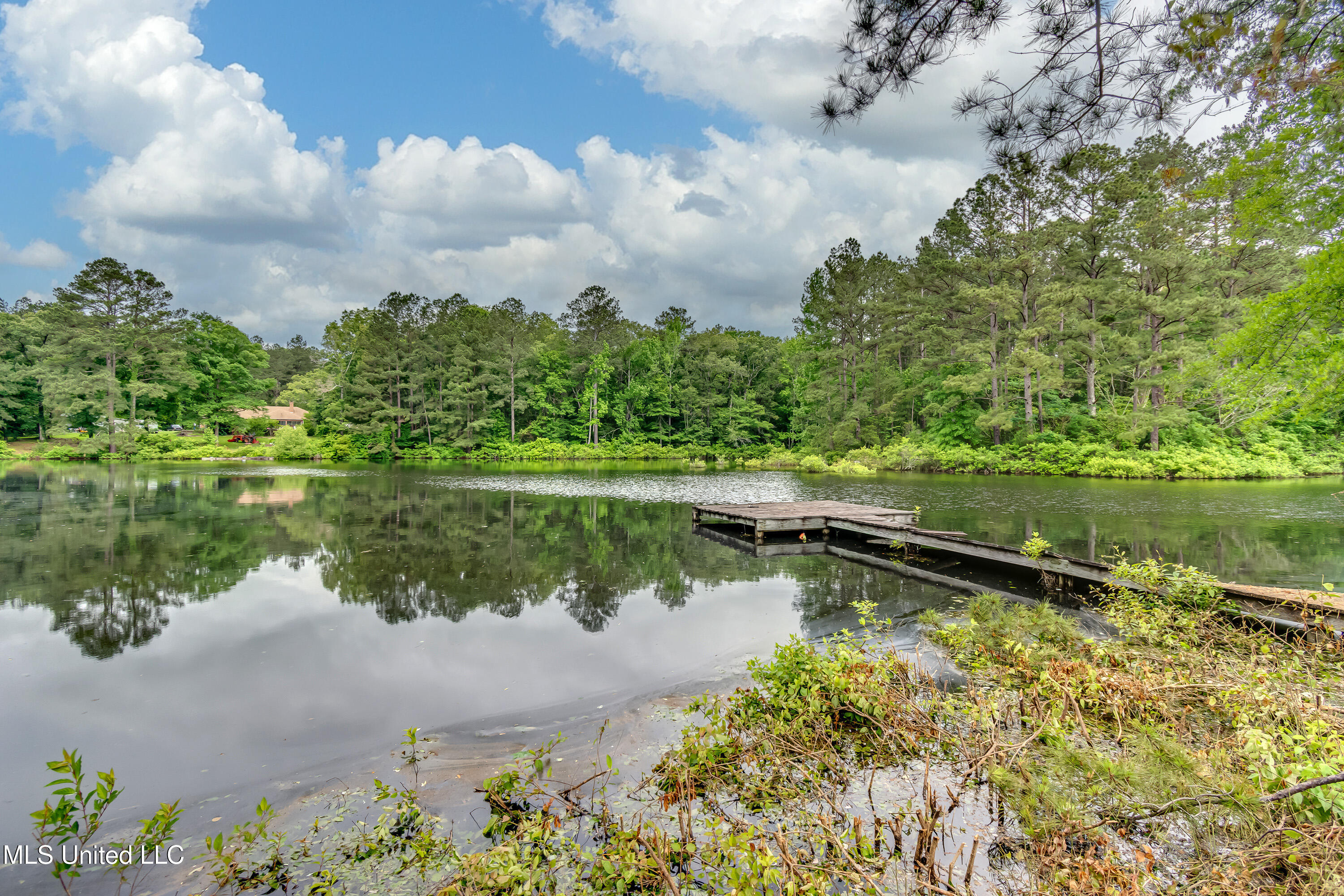 1597 Old Lake Road, Brandon, Mississippi image 4